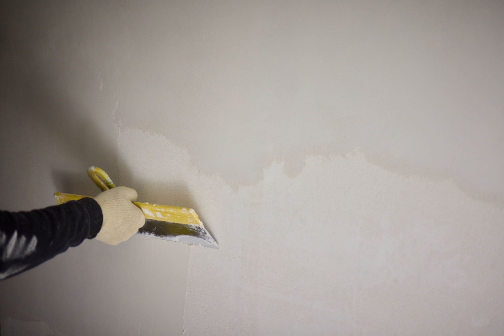 mastering-professional-wall-finishing-texturing-techniques-field-interior-design.jpg